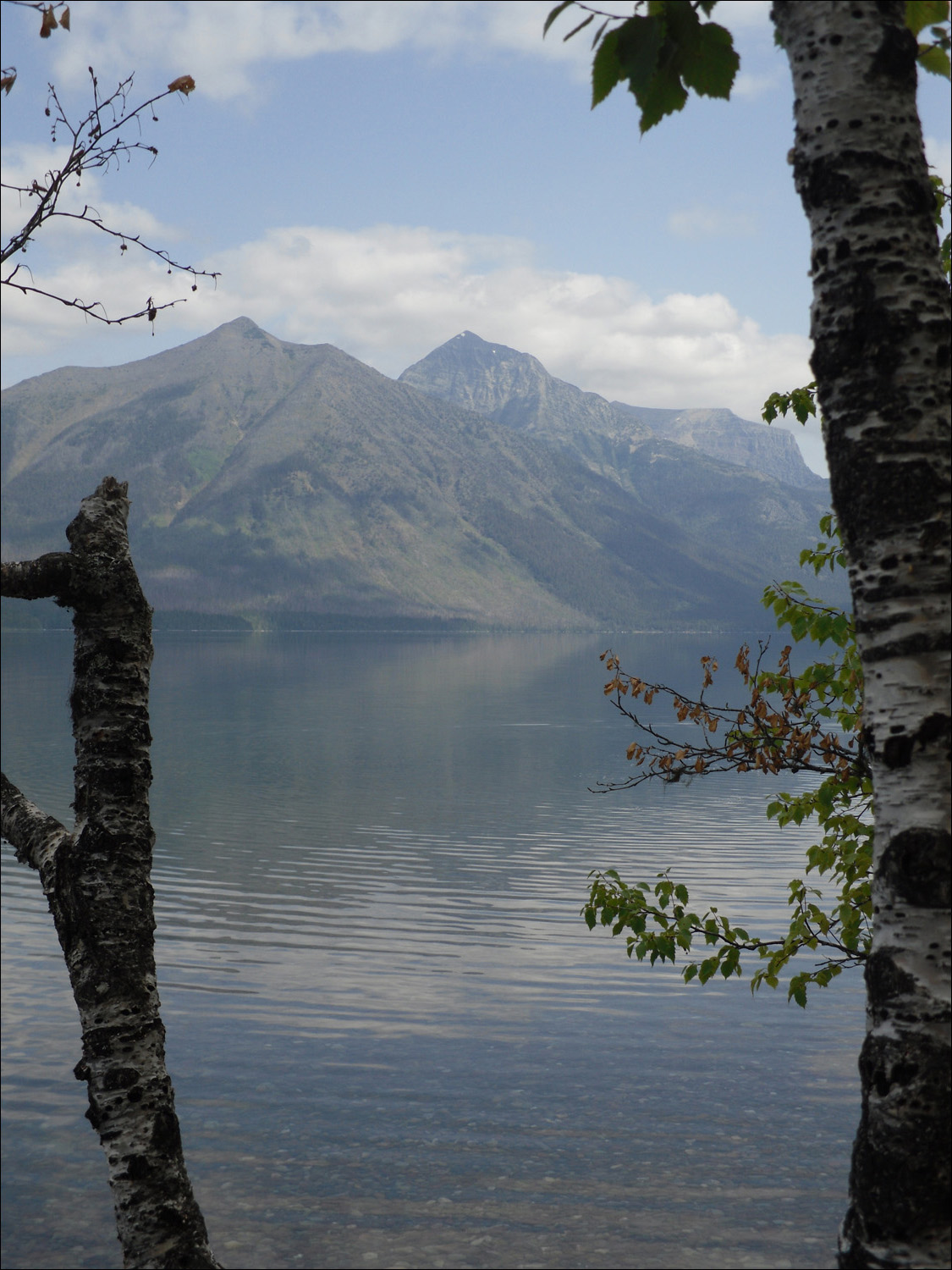 Glacier National Park- Lake McDonald
